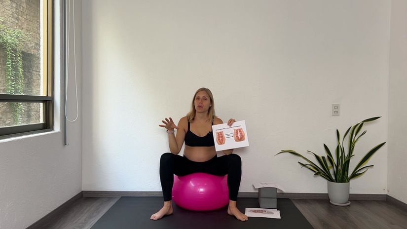 Anatomía y activación del abdomen (3er trimestre)
